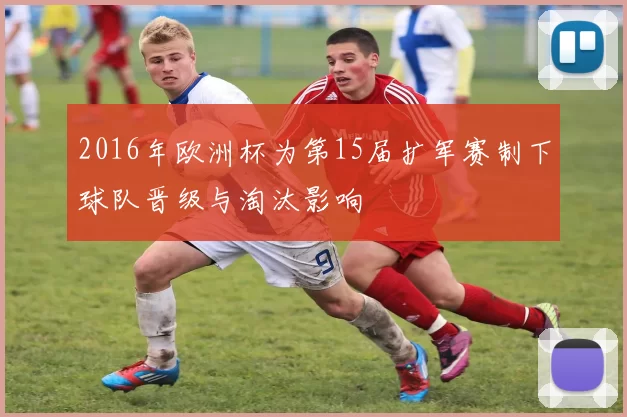 2016年欧洲杯为第15届扩军赛制下球队晋级与淘汰影响