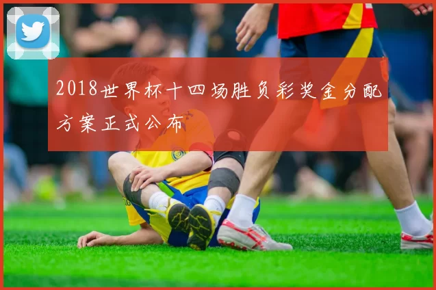 2018世界杯十四场胜负彩奖金分配方案正式公布