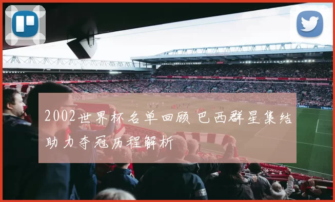 2002世界杯名单回顾 巴西群星集结助力夺冠历程解析