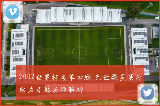 2002世界杯名单回顾 巴西群星集结助力夺冠历程解析