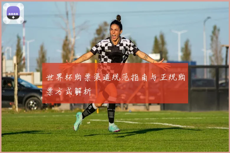 世界杯购票渠道规范指南与正规购票方式解析