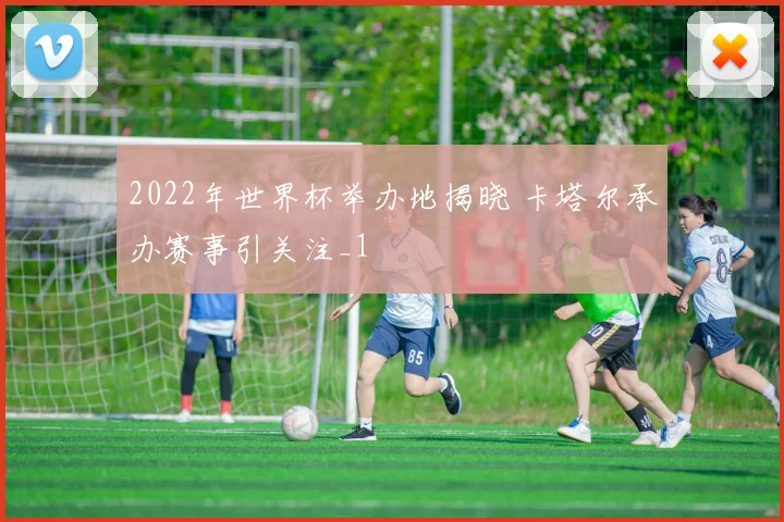 2022年世界杯举办地揭晓 卡塔尔承办赛事引关注_1